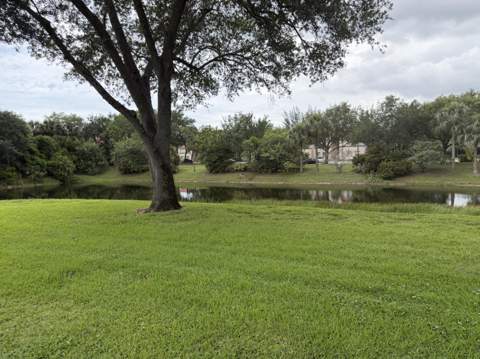 212 Lake Susan Lane, West Palm Beach FL - photo 8 of 44