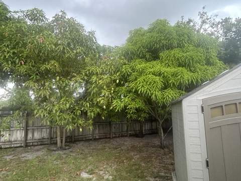 8362 NW 23rd Manor, Coral Springs FL - photo 12 of 36