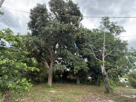 1185 Alto Road, Lake Worth FL - photo 13 of 15
