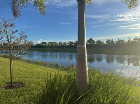 12686 SW Rain River Drive, Port St. Lucie FL - photo 11 of 49