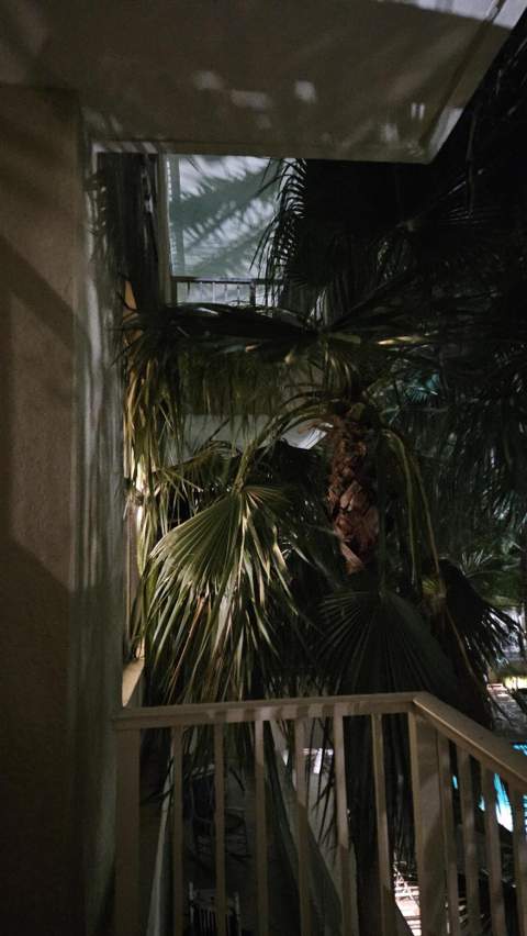 700 E Boynton Beach Boulevard #407, Boynton Beach FL - photo 6 of 23