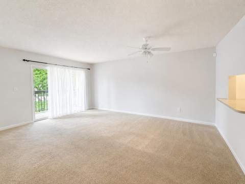711 N Pine Island Road #204, Plantation FL - photo 7 of 14