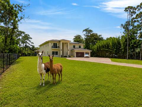 6077 NW 71st Terrace, Parkland FL - photo 6 of 105