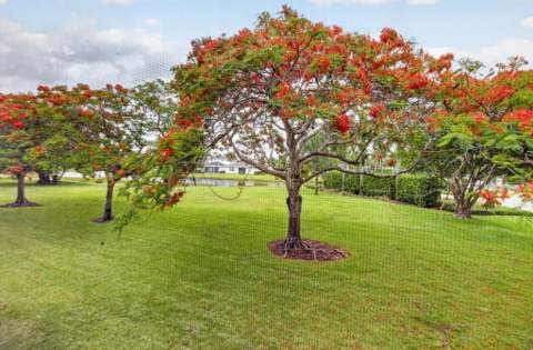 14701 Cumberland Drive #2080, Delray Beach FL - photo 23 of 40
