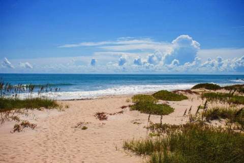5167 N Highway A1a Highway #806, Fort Pierce FL - photo 10 of 44