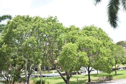 1101 River Reach Drive #212, Fort Lauderdale FL - photo 17 of 34