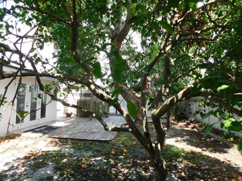 2580 SE 5th Court, Pompano Beach FL - photo 7 of 40
