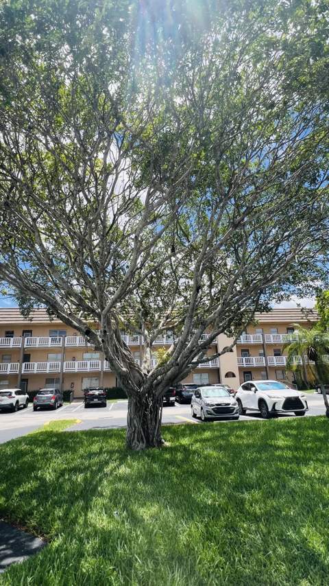 9330 S Sunrise Lakes Boulevard #304, Sunrise FL - photo 17 of 29