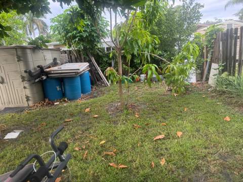 6218 NW 17th Street, Margate FL - photo 16 of 26