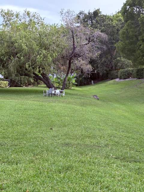 72 Fairway Lane, Royal Palm Beach FL - photo 15 of 18