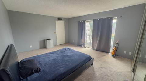 407 Arabian Road, Palm Springs FL - photo 7 of 19