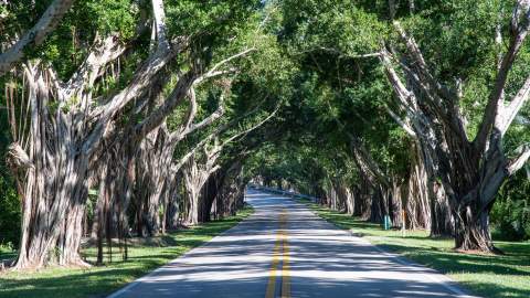 9025 SE Bridge Road #A, Hobe Sound FL - photo 7 of 31