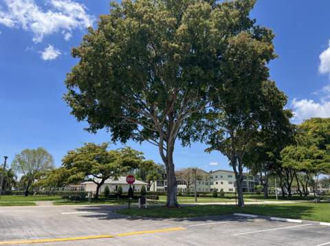 36 Mansfield A, Boca Raton FL - photo 11 of 24