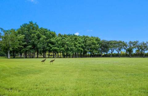 16451 Norris Road, Wellington FL - photo 8 of 91