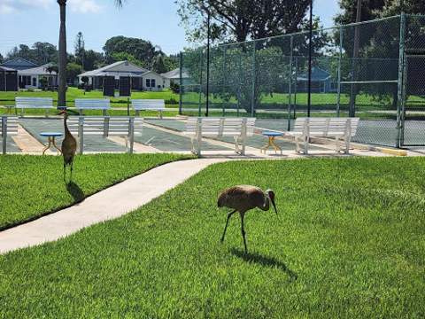 5668 Travelers Way, Fort Pierce FL - photo 22 of 28