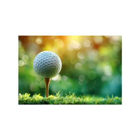 2017 SW Golf Lane #109, Boynton Beach FL - photo 11 of 80