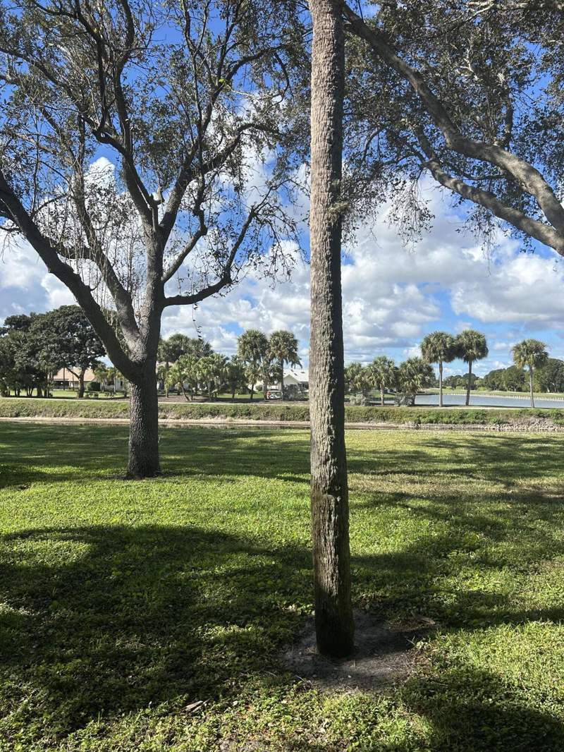 2 bedroom Condominium at 2900 SW 22nd Circle #221d, Delray Oaks West Condo, Delray Beach — photo 5