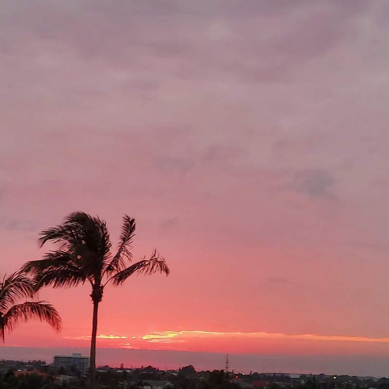 2 bedroom Condominium at 4000 N Ocean Drive #403, Martinique 2 Condo, Singer Island — photo 5