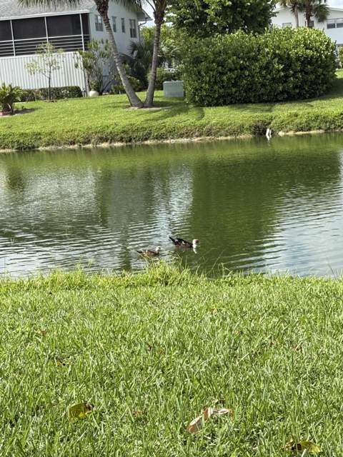 25 Kent B, West Palm Beach FL - photo 18 of 20