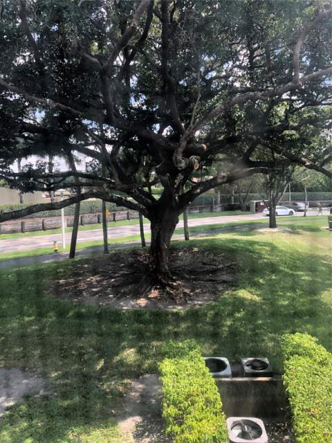 151 SW 135th Terrace #203t, Pembroke Pines FL - photo 22 of 41