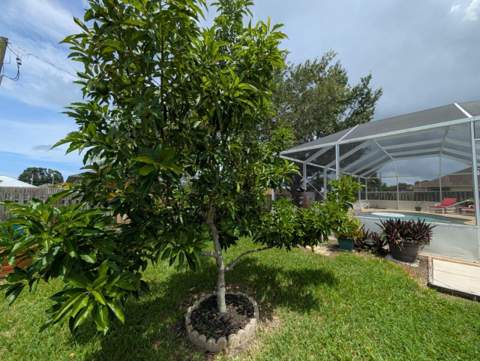 2097 SW Larchmont Lane, Port St. Lucie FL - photo 6 of 39