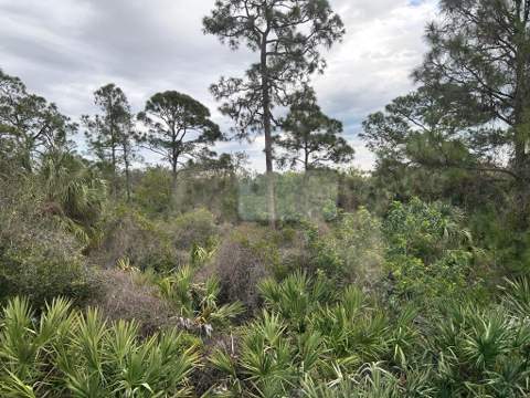 791 NE Trailside Run, Port St. Lucie FL - photo 11 of 22