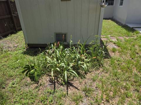 1220 NE 1st Avenue, Fort Lauderdale FL - photo 10 of 27