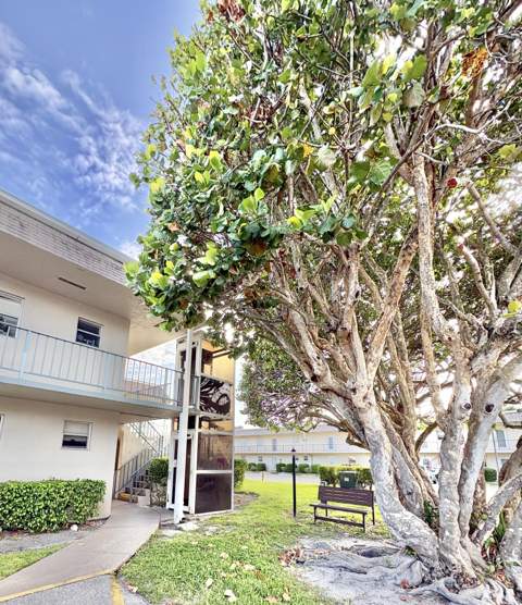 209 Oxford 200, West Palm Beach FL - photo 13 of 28
