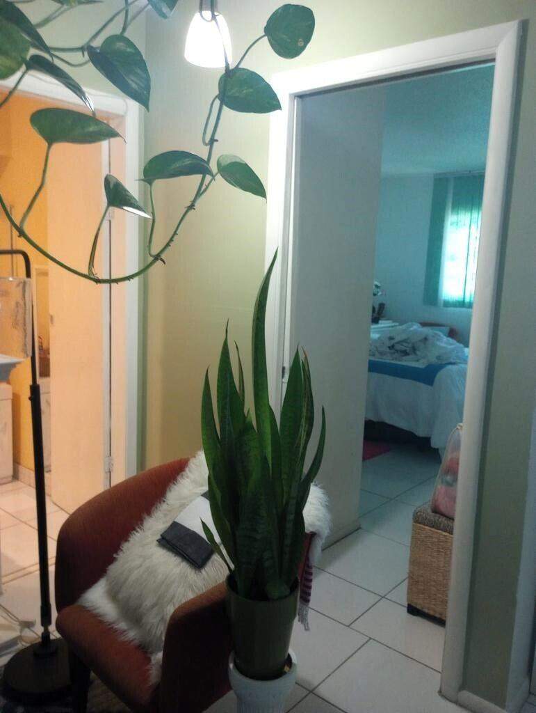 1 bedroom Condominium at 1250 E Sample Road #307, Haven House No 3 Condo, Pompano Beach — photo 2