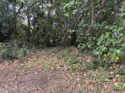 3358 S Jog Road, Greenacres FL - photo 8 of 16