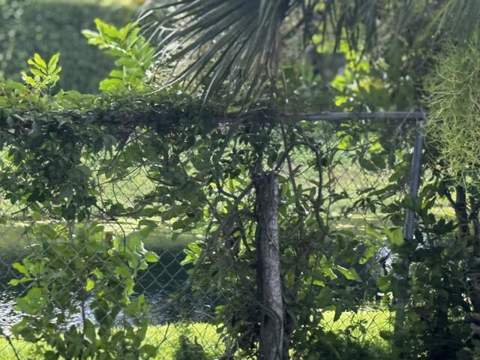 4259 Empress Street, Palm Beach Gardens FL - photo 18 of 58