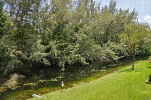 473 Lake Frances Drive, West Palm Beach FL - photo 14 of 24