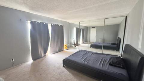 407 Arabian Road, Palm Springs FL - photo 18 of 19
