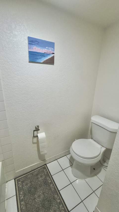 407 Arabian Road, Palm Springs FL - photo 14 of 19