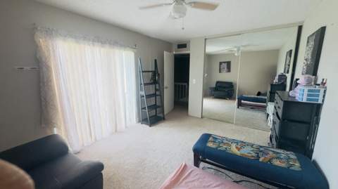 407 Arabian Road, Palm Springs FL - photo 19 of 19