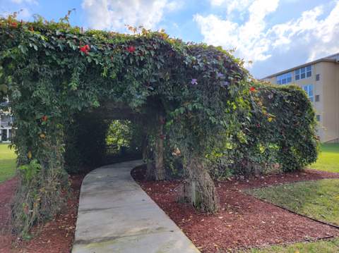 230 NE 26th Avenue #209, Boynton Beach FL - photo 24 of 47