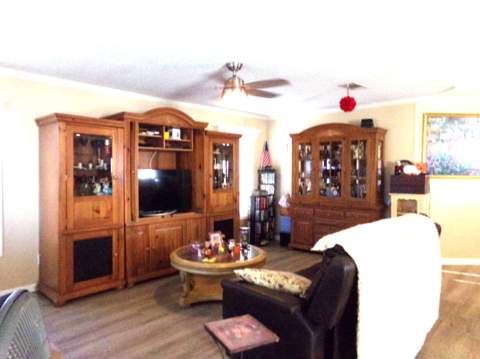 147 Plantation Boulevard, Greenacres FL - photo 6 of 44