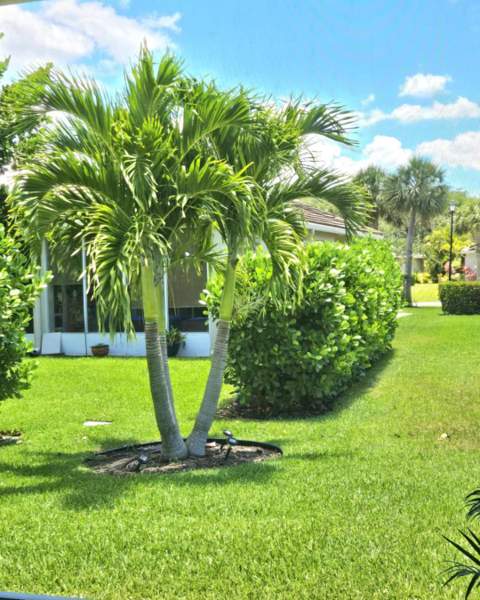 9658 SW Lindale Trace Boulevard, Port St. Lucie FL - photo 19 of 23