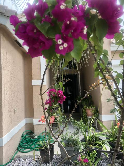 139 Preserve Drive, Royal Palm Beach FL - photo 8 of 53