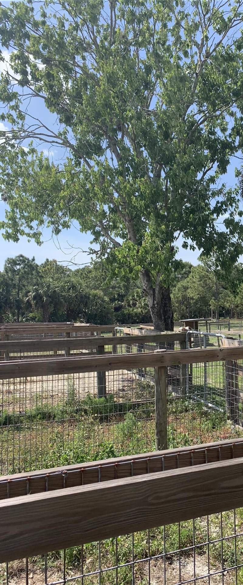 2 bedroom Manufactured Home at 26105 SW 86th Street, 67300 Sunrise/Sunset Groves, Indiantown — photo 5