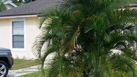 460 Fleming Avenue, Greenacres FL - photo 13 of 23