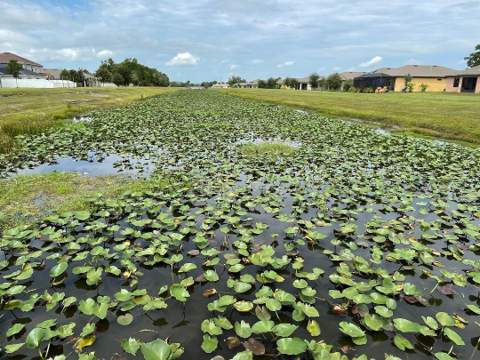 5565 NW Pine Trail Circle, Port St. Lucie FL - photo 6 of 34
