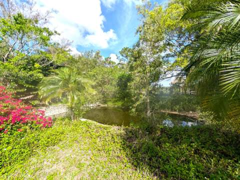 17681 93rd Road, The Acreage FL - photo 9 of 41