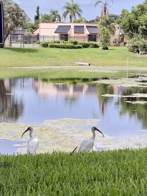 1901 NE Collins Circle #9-10, Jensen Beach FL - photo 18 of 20