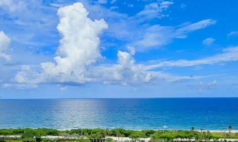 4101 N Ocean Boulevard #D-1608, Boca Raton FL - photo 15 of 45