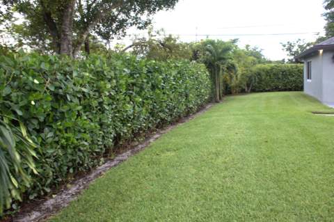 12480 SW 2nd Street, Plantation FL - photo 21 of 21