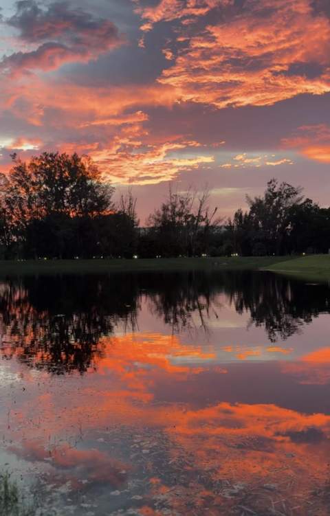 3080 N Course Drive #407, Pompano Beach FL - photo 17 of 20