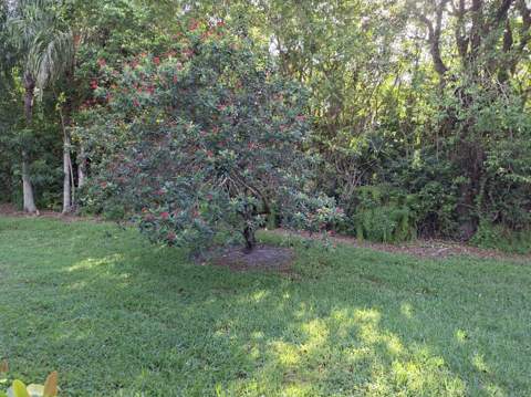 10032 Andrea Lane, Boynton Beach FL - photo 24 of 44