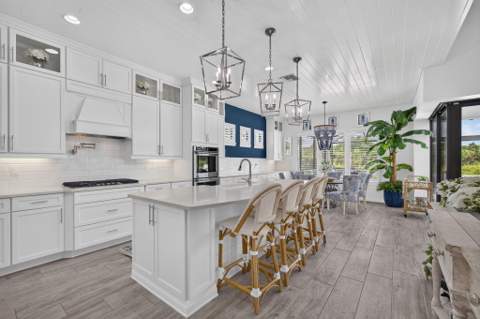 217 Blanca Isles Lane, Jupiter FL - photo 7 of 102
