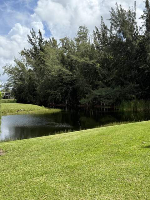 133 Lake Olive Drive, West Palm Beach FL - photo 7 of 25